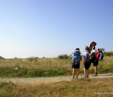 Route regionale 2009