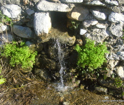 Acqua - Bigi