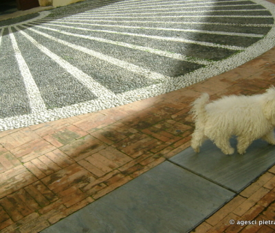 Cane - Pezzati