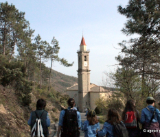 Caccia a Verzi (mar 2014)