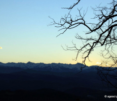 Campo invernale 2014 – Arbi