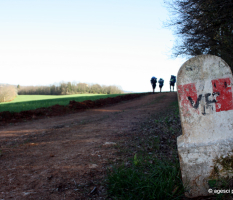 Route di Pasqua – Via Francigena Siena (apr-2015)